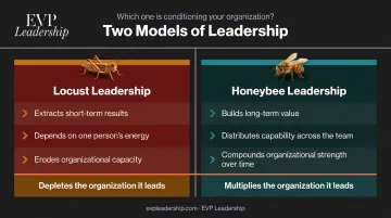 Honeybee versus locust leadership model side-by-side comparison infographic