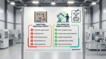 Infographic