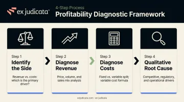 4-step profitability framework diagnostic process flow for business case analysis