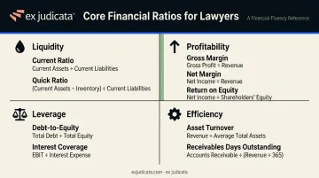 Four categories of core financial ratios lawyers must know infographic