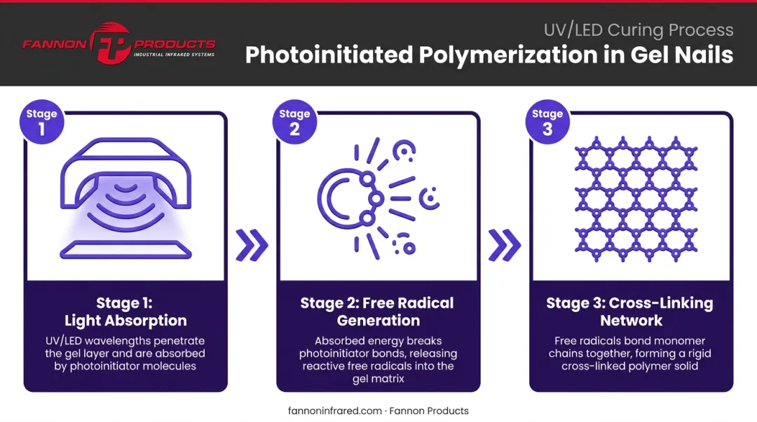 Gel nail photoinitiated polymerization process showing UV light triggering polymer cross-linking