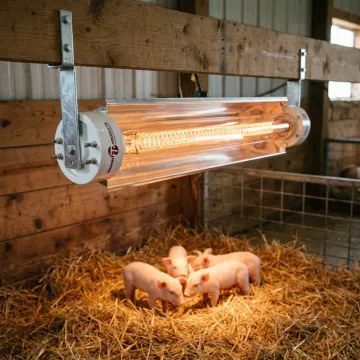Farming & Livestock