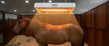 Veterinary & Animal Recovery