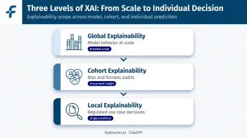 Three levels of ML explainability global cohort and local XAI breakdown