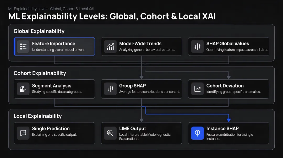 Three levels of ML explainability global cohort and local XAI breakdown