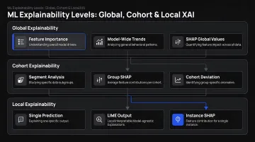 Three levels of ML explainability global cohort and local XAI breakdown