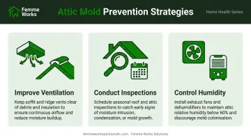 Three key strategies to prevent attic mold: ventilation, inspections, and humidity control