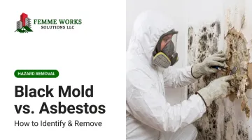 Black Mold vs. Asbestos: How to Identify & Remove