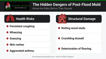 Infographic illustrating the dangers of post-flood mold to health and property