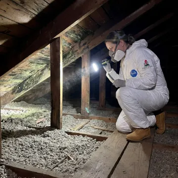 Technician inspecting attic mold in a Tewksbury home