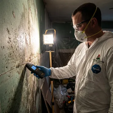 Technician inspecting mold damage during emergency response