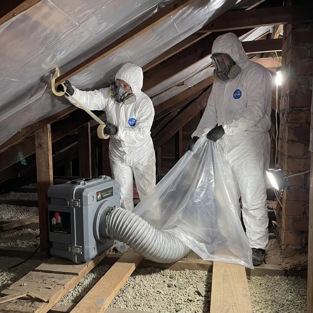 Asbestos Removal Companies — Professional Services