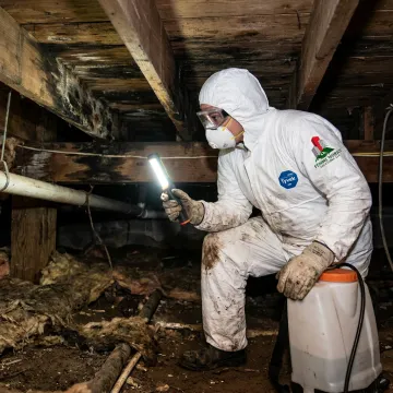 Technician inspecting mold in a crawl space