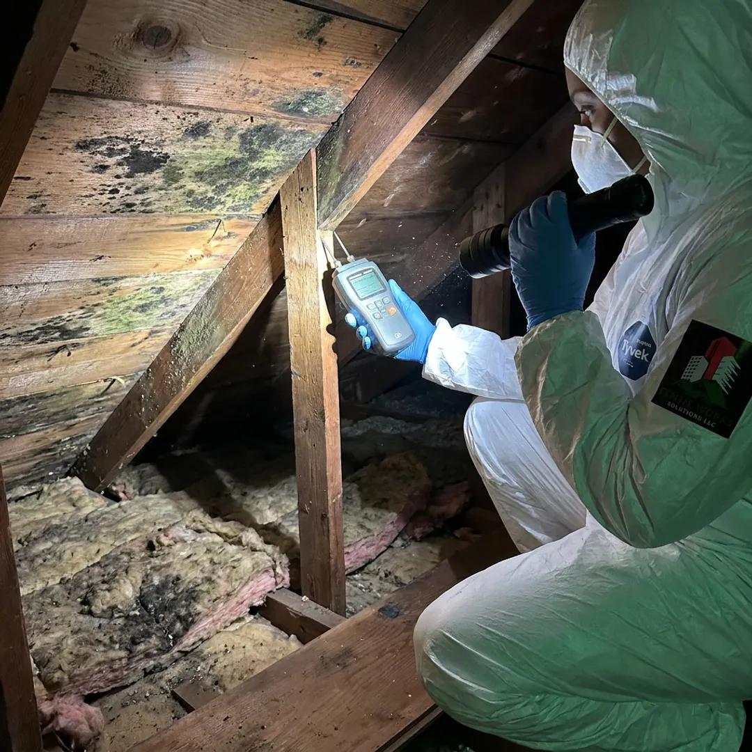 Attic Mold Remediation Services in Lee, NH