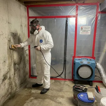 Mold remediation technician cleaning an affected basement area