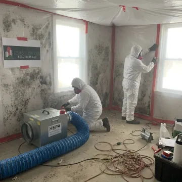 Technician setting containment for mold cleanup