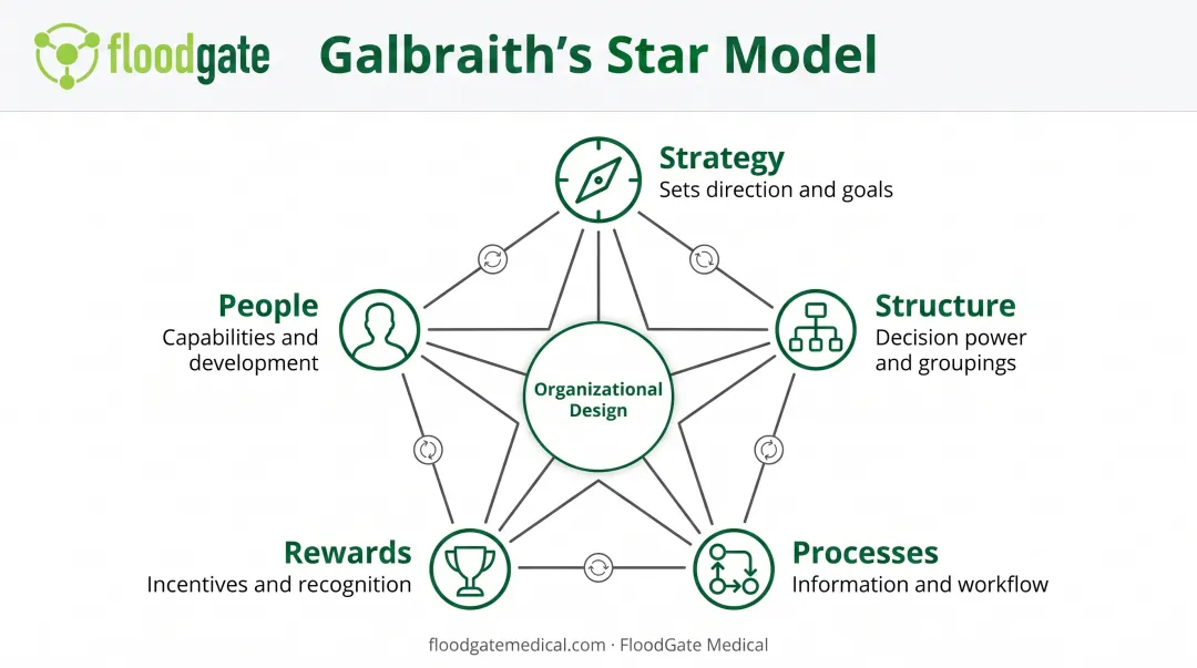 Galbraith Star Model five interconnected components organizational design framework diagram