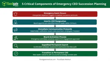 Emergency CEO succession plan 5 critical components flowchart