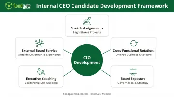 Internal CEO candidate development strategy showing 5 key development components