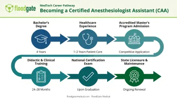6-step career path timeline to becoming a certified anesthesiologist assistant