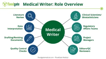 Medical writer daily responsibilities and key stakeholder collaboration diagram