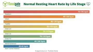 Normal resting heart rate ranges by age group chart