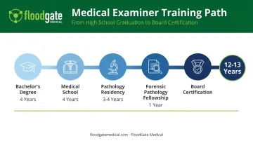 12 to 13 year medical examiner education and training timeline