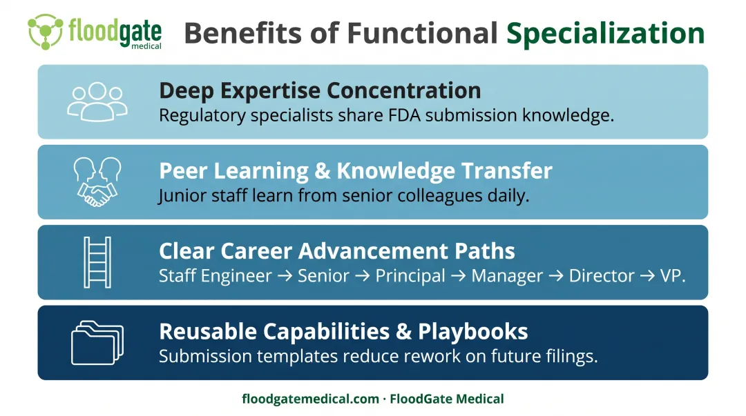Four key advantages of functional specialization depth showing expertise concentration knowledge transfer and career development