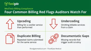Common billing errors and fraud red flags auditors identify chart
