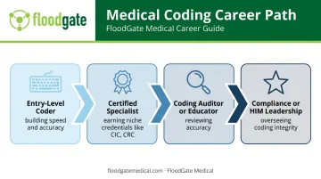 Four-stage medical coding career advancement pathway infographic