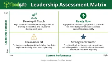 MedTech leadership assessment framework showing performance versus potential evaluation matrix