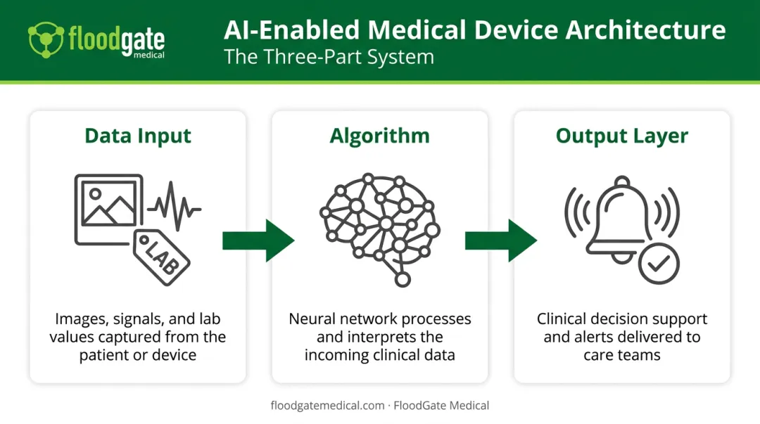 AI medical device architecture showing data input algorithm and output layers