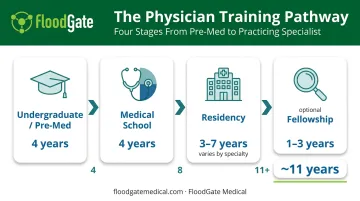 Complete physician training timeline from high school to independent practice