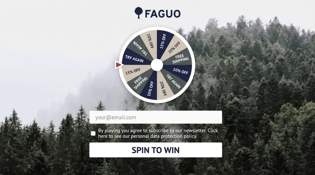 Faguo spin-to-win gamified pop-up wheel with discount prizes and email entry field