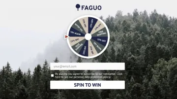 Faguo spin-to-win gamified pop-up wheel with discount prizes and email entry field