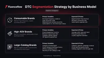 Three DTC business model segmentation strategies by brand type and key variables