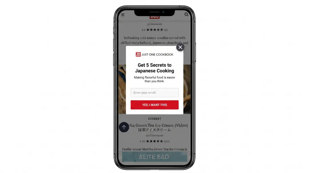 Mobile popup example displaying simplified single-field email form with large touch-friendly buttons