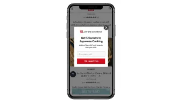 Mobile popup example displaying simplified single-field email form with large touch-friendly buttons