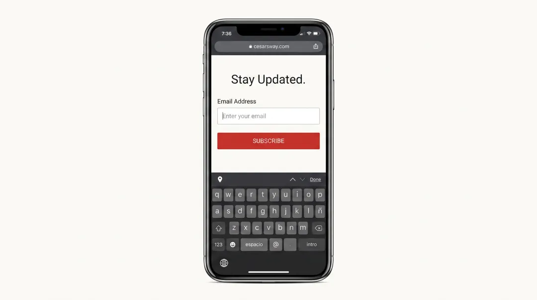Mobile-optimized email signup form displaying single-column layout with large touch targets