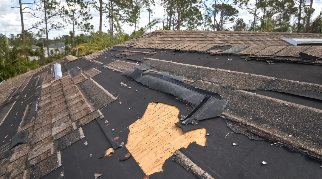 Storm damaged roof shingles with visible wind and hail impact
