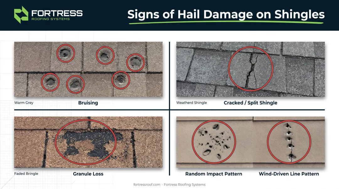 Roof hail damage identification guide showing shingle bruising and granule loss