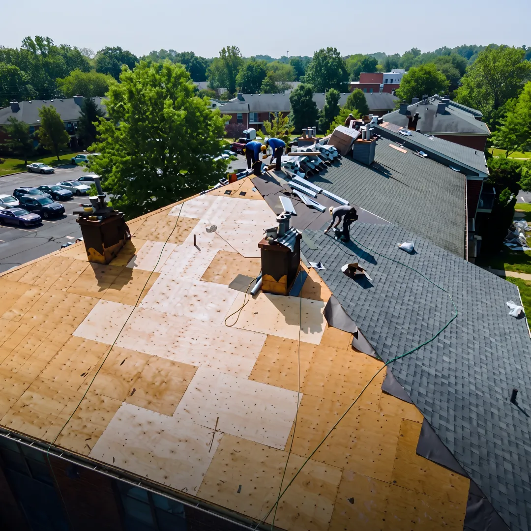 Roofers installing shingles on a Florida home