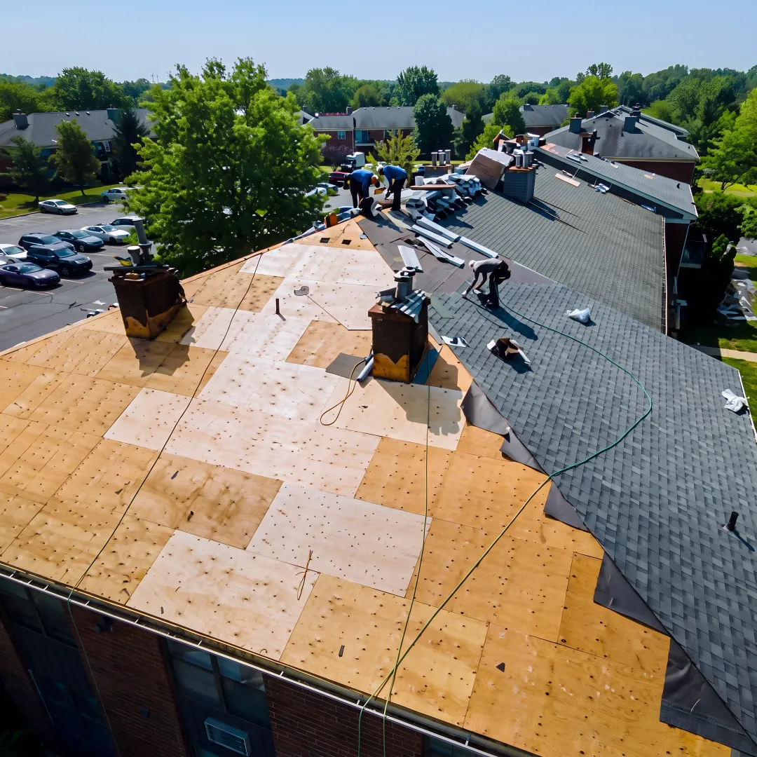 Roofers installing shingles on a Florida home
