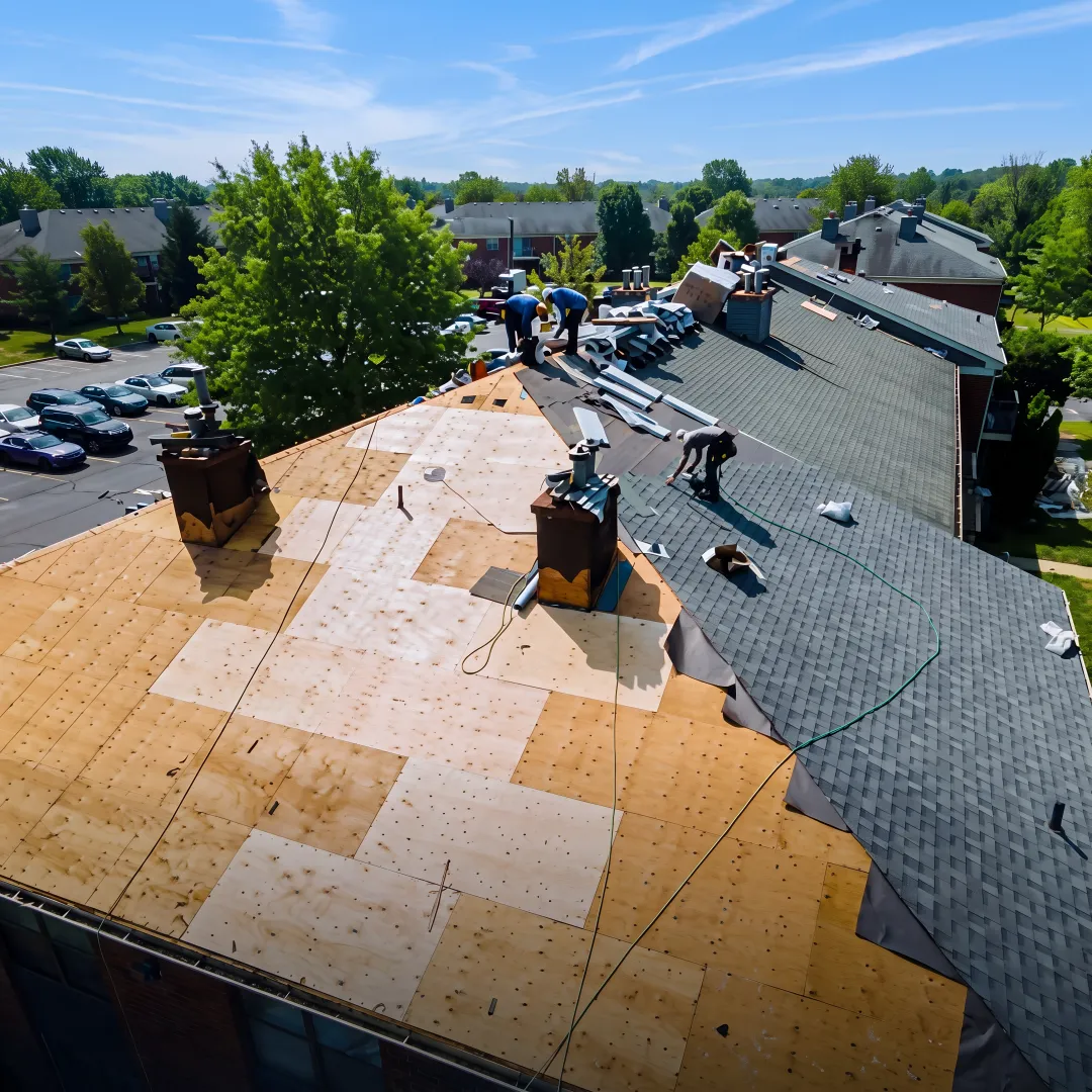 Best Roof Installations