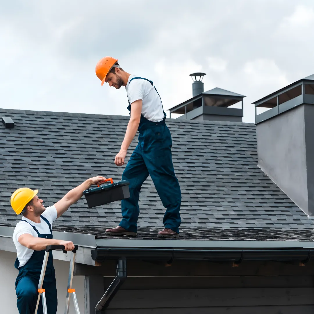 Shingle Roofing Contractors