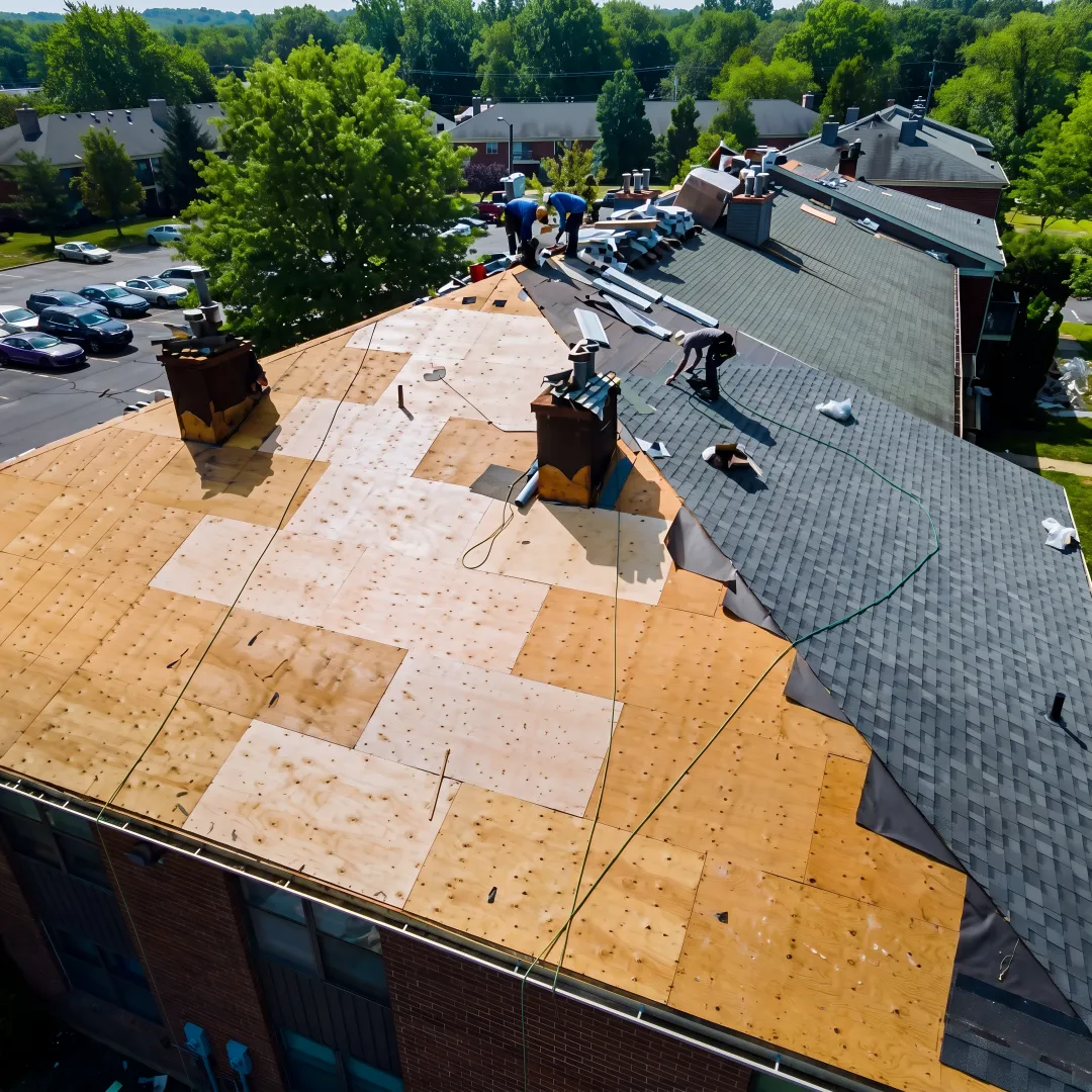 Best Roofing in Florida 2026