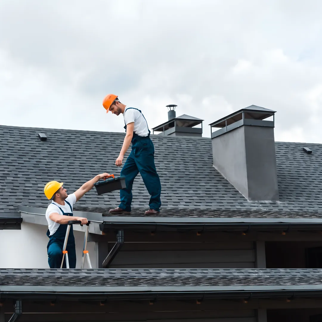 Premium Roof Services
