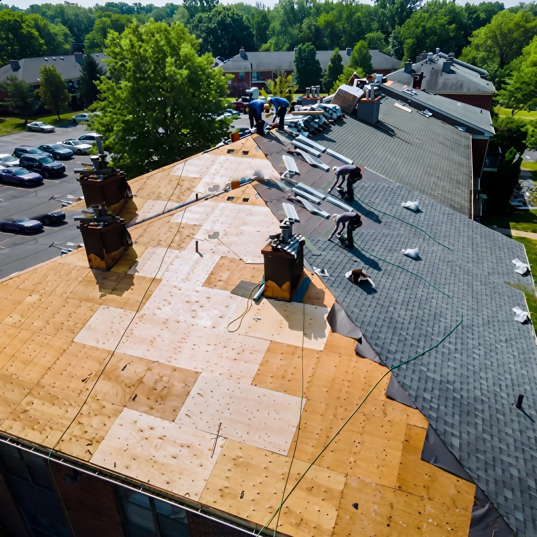 Roofing and Waterproofing Services