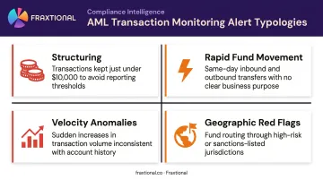 Four fintech transaction monitoring alert typologies with red flag indicators infographic