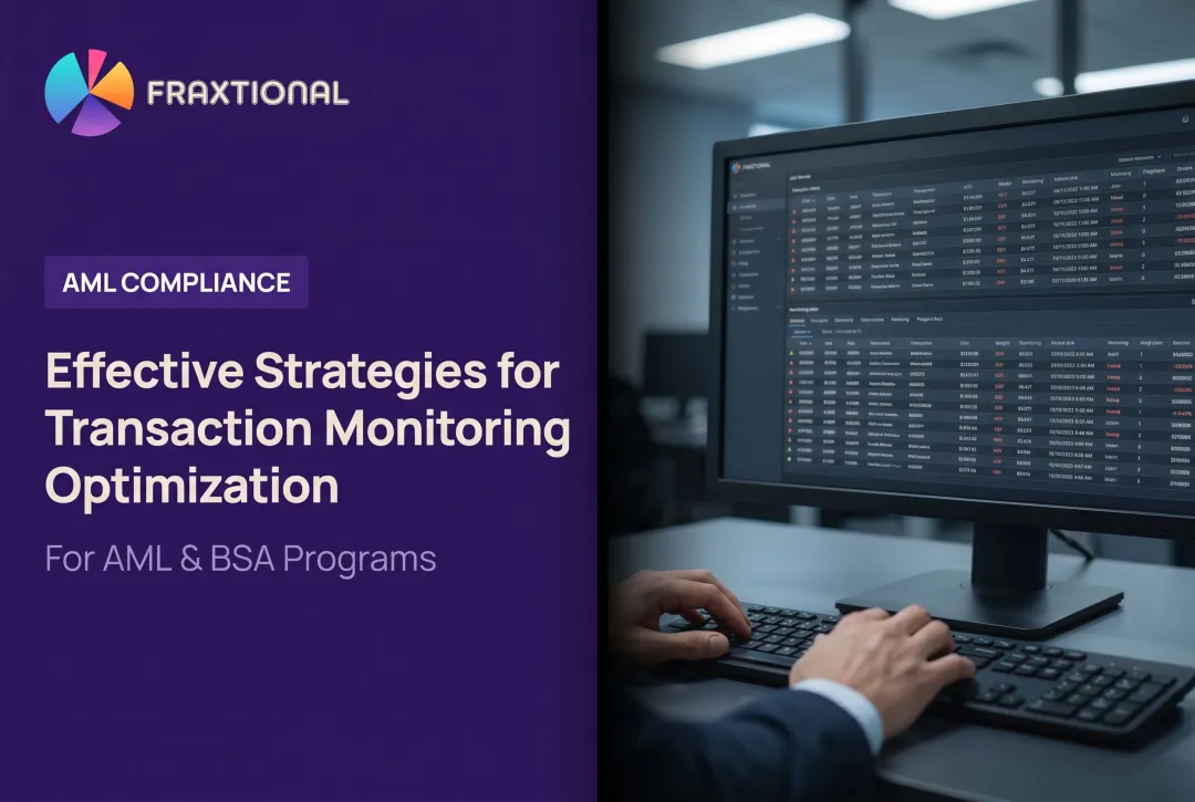 Effective Strategies for Transaction Monitoring Optimization